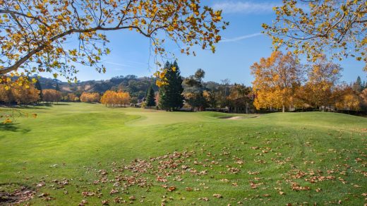 Photo Automated savings